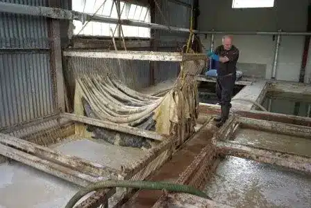 تصفیه فاضلاب چرم سازی + مراحل و چالش ها